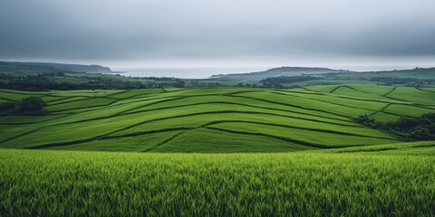 Sticker - Intriguing Coastal Landscapes Merging Green Fields with Majestic Ocean Views