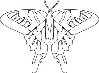 Canvas Print - Beautiful butterfly one line art vector illustration