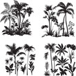 © Umar - Palm Tree Silhouettes isolated on white background