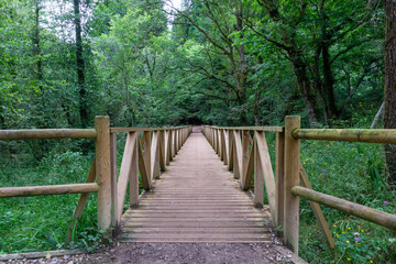 Wooden bridge that takes us to the oak forest