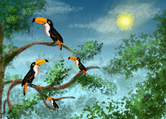 Four toucans perched on a branch in the tropical rainforest