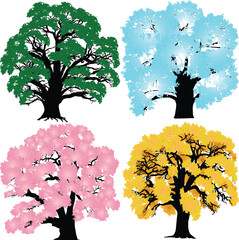 Wall Mural - isolated old tree from four seasons