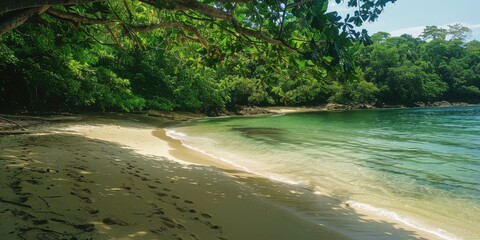 Serene beach with gentle waves, surrounded by lush greenery and tranquil waters, perfect for relaxation and nature escape.