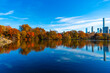 © be free - Autumn landscape with pond. Fall nature landscape. Autumn nature in Central park. Seasonal fall landscape. Park autumn tree and pond in New York. Scenic fall. Central park in autumn. Changing colors