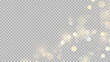 © Vector light Studio - Golden dust light png. Christmas glowing bokeh confetti and sparkle overlay texture for your design. Stock royalty free vector illustration. PNG