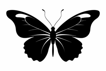 butterfly silhouette black vector art illustration