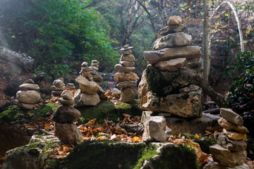 Wall Mural - Autumn forest