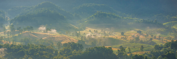 Wall Mural - Banner Beautiful Mountain landscape foggy mountain green landscape morning sunrise. Amazing Landscape mountain green tropical forest tree on sunrise. Banner forest sunlight scenery with copy space