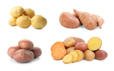 Canvas Print - Different types of potatoes isolated on white, collection