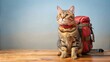 © sarinya - Adorable cat with backpack and camera ready to explore the world, cat, cute, traveler, spring, adventure, camera, backpack, explore