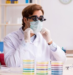 Wall Mural - Young chemist working in the lab