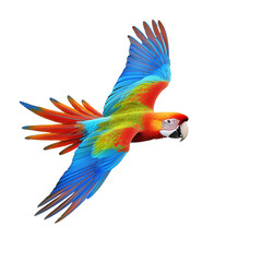 Wall Mural - Colorful parrot mid-flight on transparent background