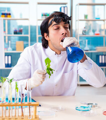 Wall Mural - Male biotechnology scientist chemist working in the lab