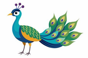 Wall Mural - Peacock vector illustration