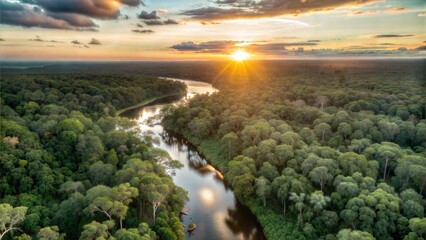 Canvas Print - scenic aerial sunset view of rainforest jungle