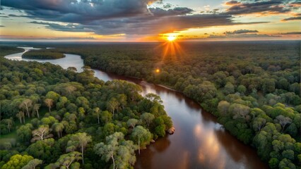 Wall Mural - scenic aerial sunset view of rainforest jungle