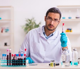 Wall Mural - Young male chemist working in the lab