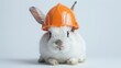 © chutikan - A cute little white rabbit wearing a cute engineering hat on a white background.