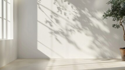 Poster - A bright white room with a large window that casts sunlight and the shadow of a tree onto the wall. The floor is white wood and the tree is in a brown pot.