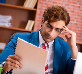 Wall Mural - Young handsome employee sitting in the office