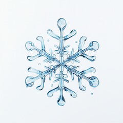 Poster - Water Snowflake.