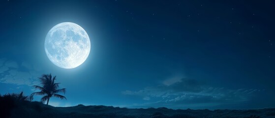 a full moon overpalm tree in the foreground, dark blue sky with clouds in the background