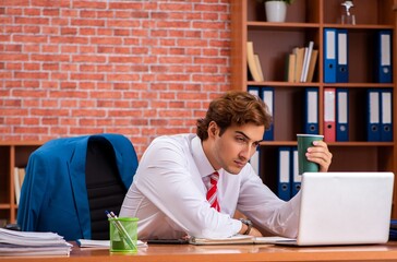 Poster - Young handsome employee sitting in the office