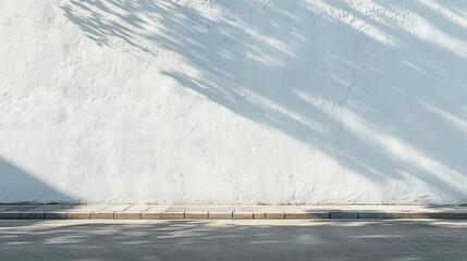 Poster - A white wall with long shadows cast on it from a nearby tree, the sun shining brightly in the background. The wall is set against a street, a concrete sidewalk separating the two.