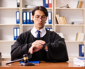 Wall Mural - Young handsome judge working in court