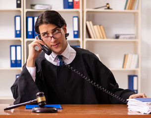 Wall Mural - Young handsome judge working in court