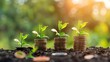 © Kanika Graphic - Stacks of gold coins with young sprouts growing on top arranged in ascending order. Concept of successfully investing money and increasing income. Blurred green nature background
