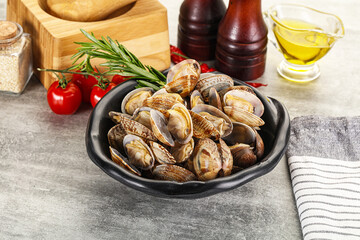 Wall Mural - Raw vongole clams for cooking