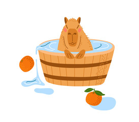 Capybara swimming in barrel. Bath with fruits. Animal takes bath with pleasure isolated on white background. Cute funny cartoon character, Rodent in water. Largest rodent. Hydrochoerus hydrochaeris.