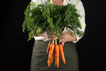 Wall Mural - Woman holding ripe carrots on black background, closeup