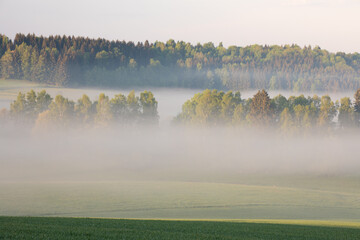 Wall Mural - beautiful nature landscape, amazing view of autumn meadow. sun beams through fogg. magic colours of 