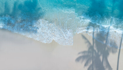 Wall Mural - Abstract of the tropical beach with  Aqua waves and coconut palm shadow on blue background.