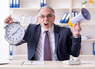 Wall Mural - White bearded old businessman employee unhappy with excessive wo