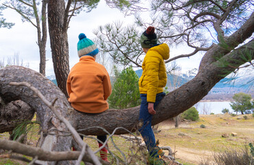 two unrecognizable children sitting on the branch of a tree in a forest looking towards a landscape with a lake and mountains in the cold season