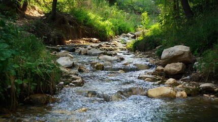 Tranquil Stream in a Lush Forest