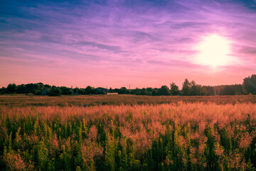 Wall Mural - rural landscape with beautiful gradient evening sky at sunset. green field and village on the horizo