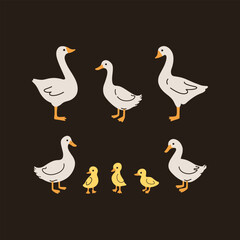 Wall Mural - Domestic fowl. Vector contour illustration of goose, duck, and duckling.