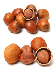 Sticker - Hazelnuts on a white background