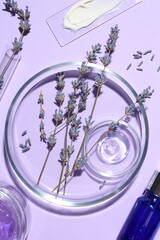 Sticker - Petri dishes with lavender flowers and cosmetic products on violet background, flat lay