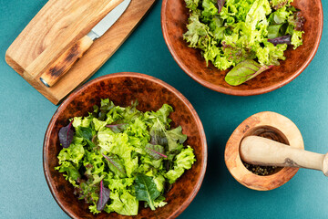 Canvas Print - Healthy green salad