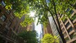 © Srisa - Explore the role of trees in combating urban heat islands. How do tree canopies reduce temperatures and improve livability in cities