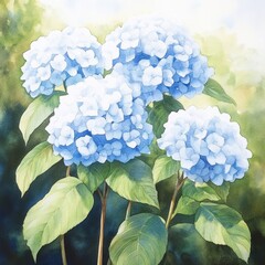 Sticker - Watercolor painting of blue hydrangea flowers with green leaves.