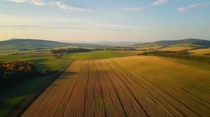 Wall Mural - Aerial view of colorful autumn farmland and picturesque natural scenery captured by drone