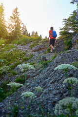 Wall Mural - pretty senior woman hiking in warm dawn sunlight and enjoying the spectacular view over the Allgau alps on the Nagelfluh mountain chain near Oberstaufen, Bavaria, Germany