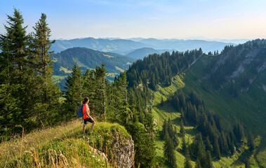 Wall Mural - pretty senior woman hiking in warm dawn sunlight and enjoying the spectacular view over the Allgau alps on the Nagelfluh mountain chain near Oberstaufen, Bavaria, Germany