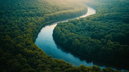 Canvas Print - Aerial view of a winding river through a lush forest.